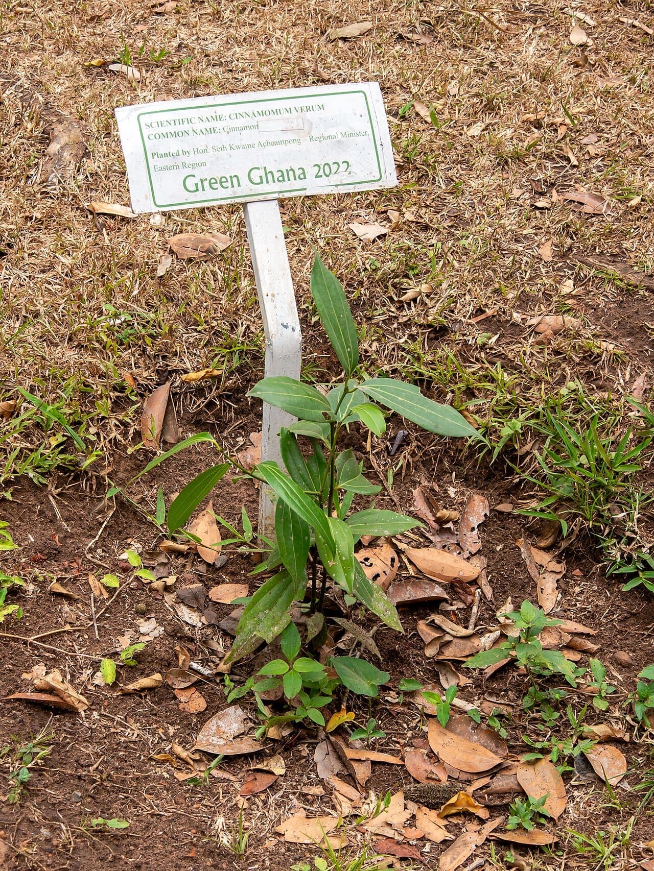 Aburi Botanical Gardens: A Cool Escape from Accra